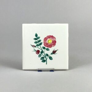 beach rose tile