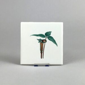 jack in the pulpit tile