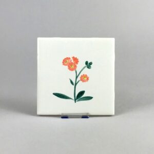 Indian Paintbrush tile